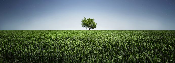 COME TRATTARE L’ERBA ALTA IN UNA NUVOLA DI PUNTI